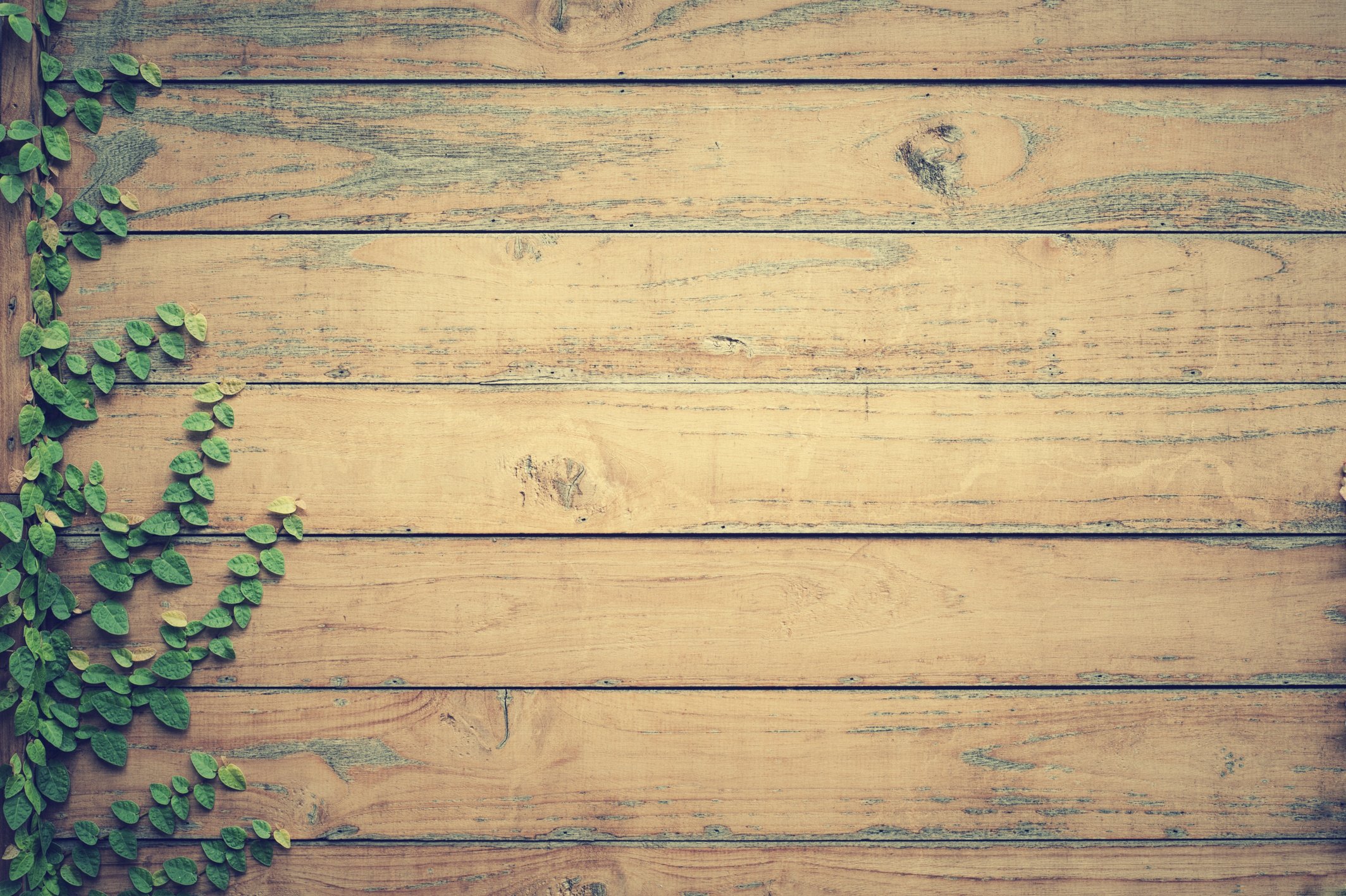 Rustic Wooden Background with Leaves